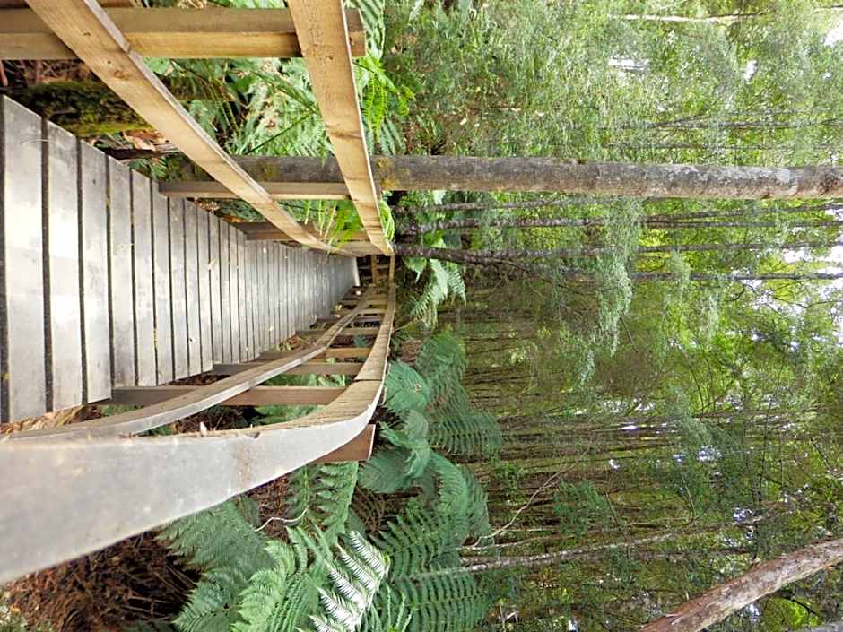 Tahune AirWalk Cabin and Lodge