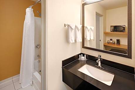 Suite King Bed Non Smoking