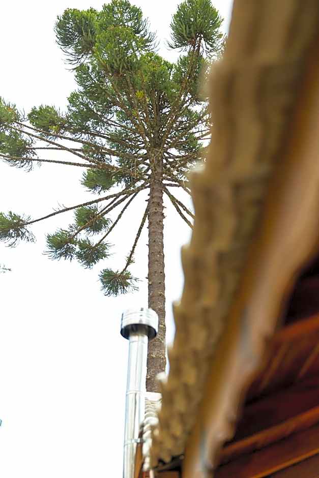 Pousada Dona Bendita