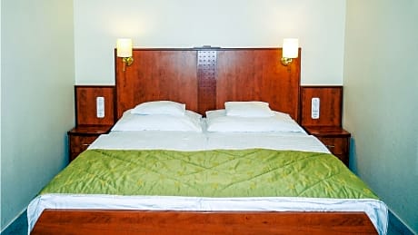 Standard apartment with a double bed and sofa bed .