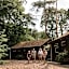 Cozy cottages by Bed en Boshuisjes