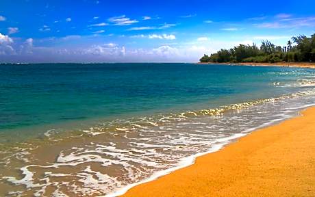 Wonderful Maui Vista-Kihei Kai Nani Beach Condos