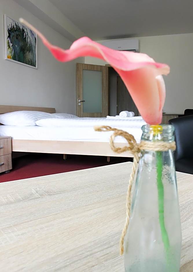 Hotel Ungar