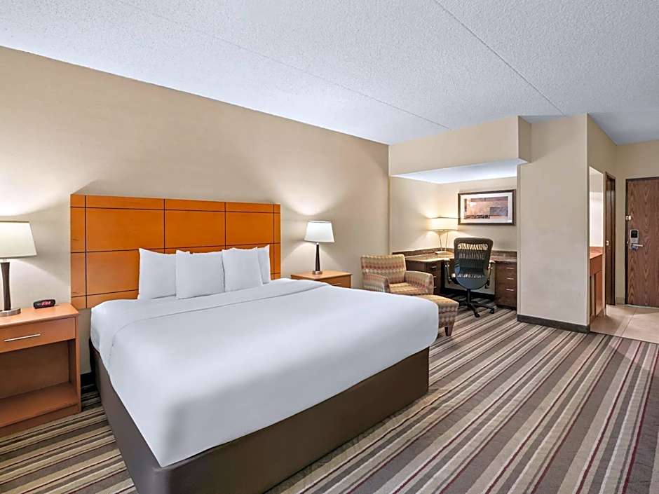 Comfort Inn Metro Airport Romulus