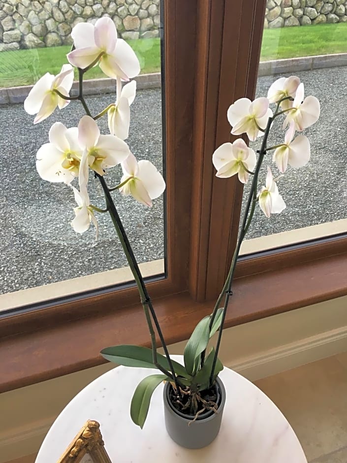 Mourne Country House Bed and Breakfast