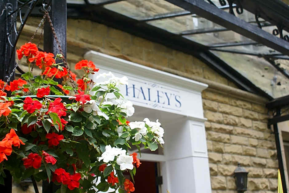 Haley's Hotel