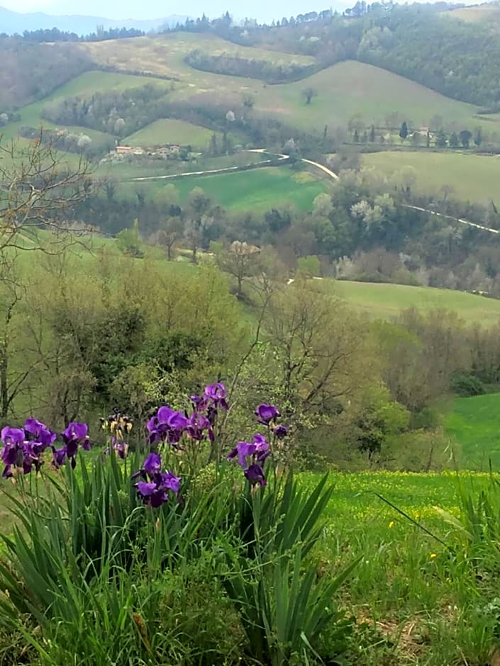 Green B&B Urbino Cá del vento