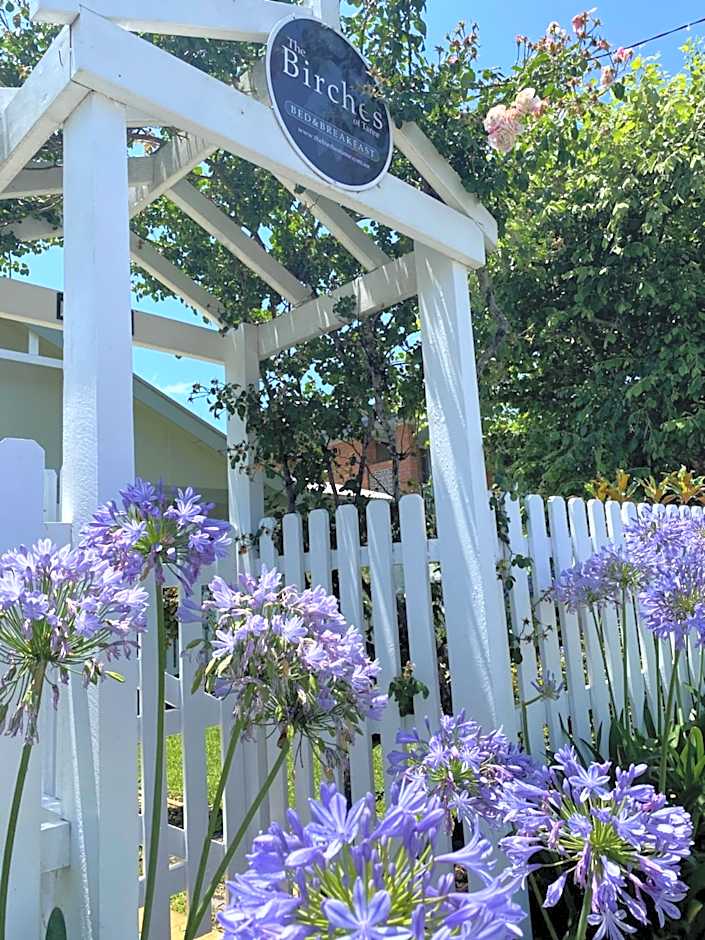 BIRCHES B&B