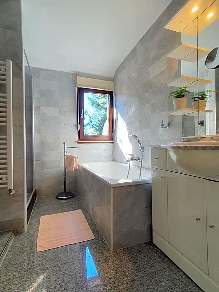 Apartment Haus Pflingsteck nahe Europa Park Rulantica