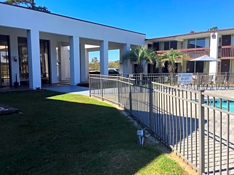 King Room - Pet-Friendly