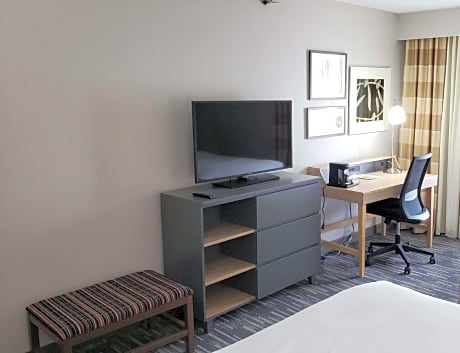 King Bed-Studio Suite-Terrace-Non Smoking