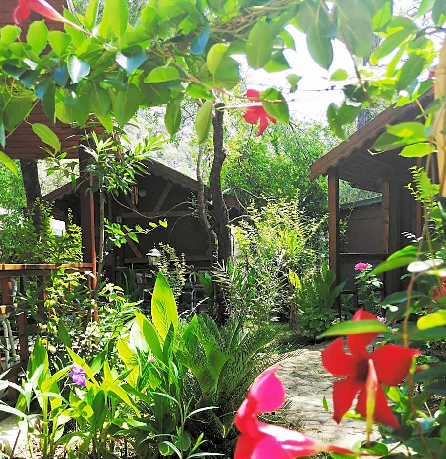 Canario Bungalows