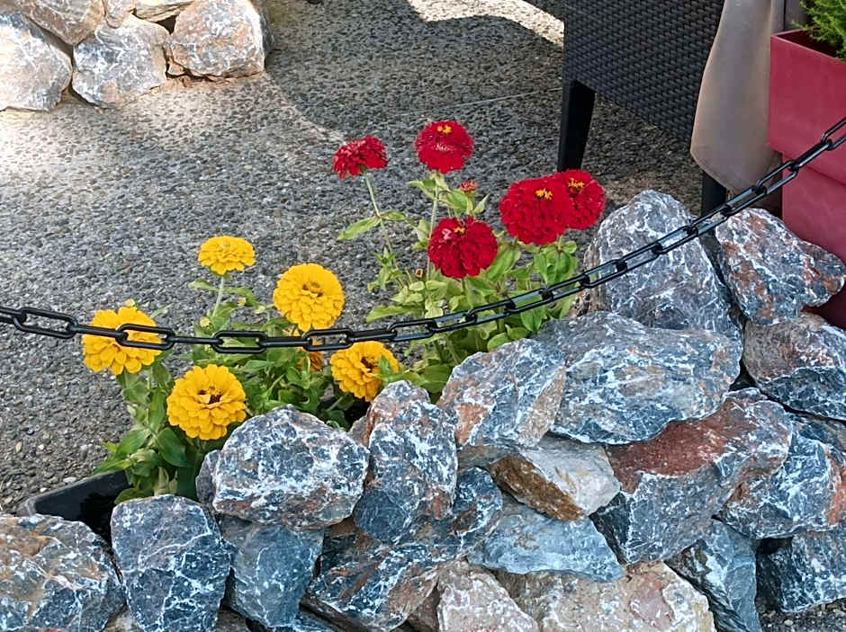 L' Auberge Campagnarde, Lourdes