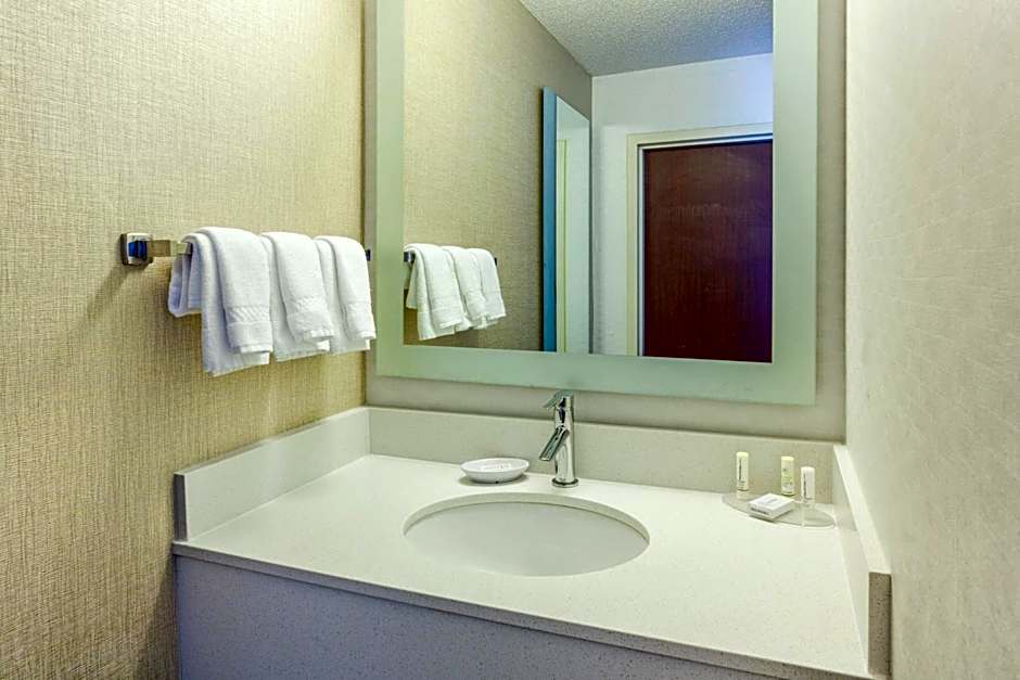 SpringHill Suites by Marriott Minneapolis West/St. Louis Park