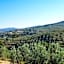 Agriturismo Il Colle
