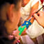 Mediterranee Family Hotel & Spa