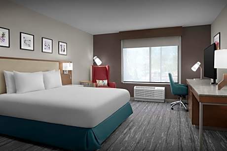 One-Bedroom King Suite with Sofa Bed