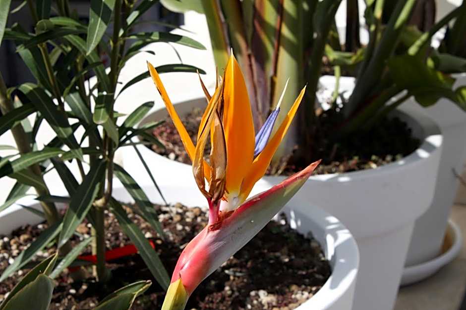 Le Marinelle Aff Trani