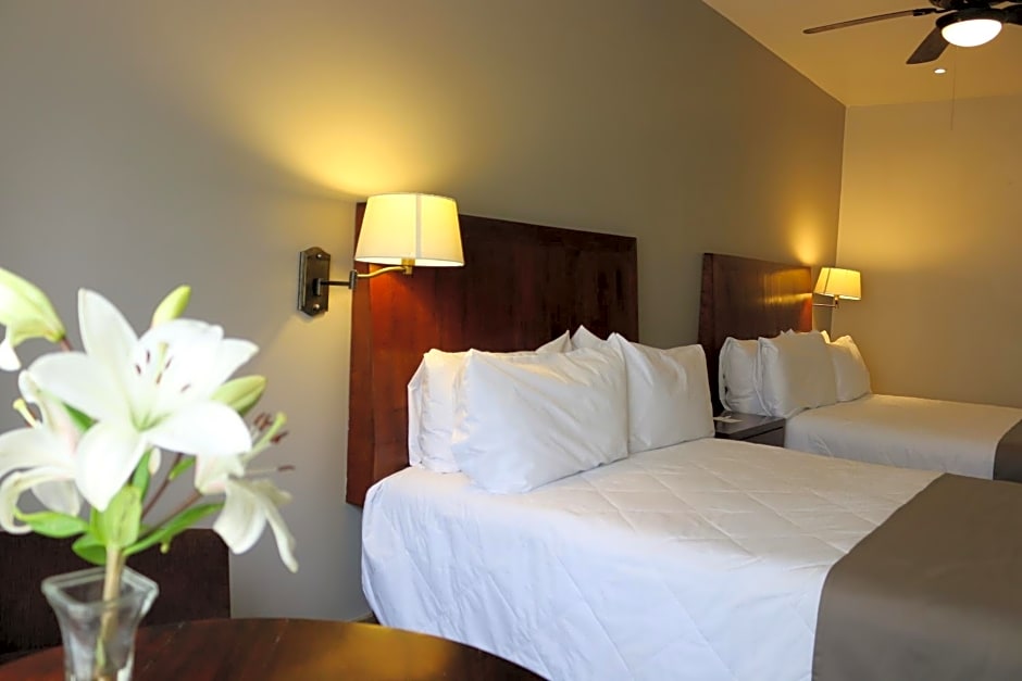 Hotel Villa Tequila