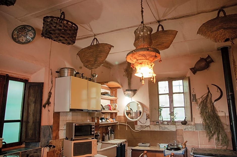 Centro Studi Nuovarmonia