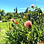Les Jardins des Soussilanges