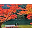 River Side Arashiyama - Vacation STAY 86216v