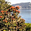 Captain Eady's Lookout