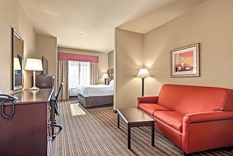 1 King Bed Suite Nonsmoking