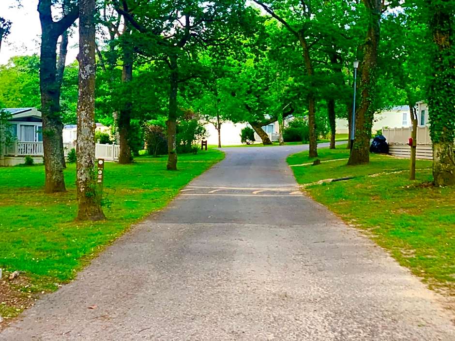 Forest Haven