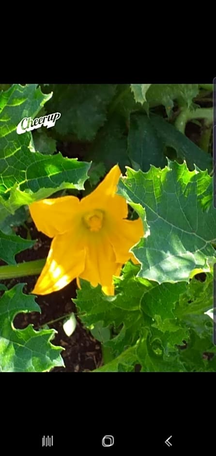 Trulli Selva e Natura Gio'.Ele
