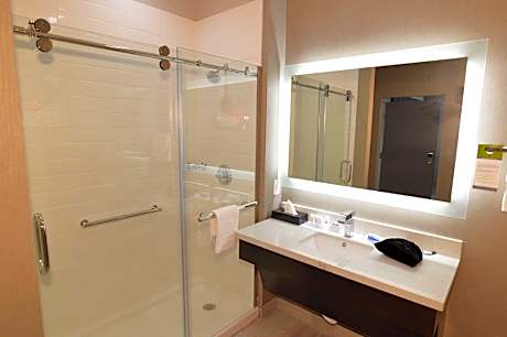 Suite with 1 King Bed, Sofabed, Kitchenette and Walk-In Shower - No Smoking
