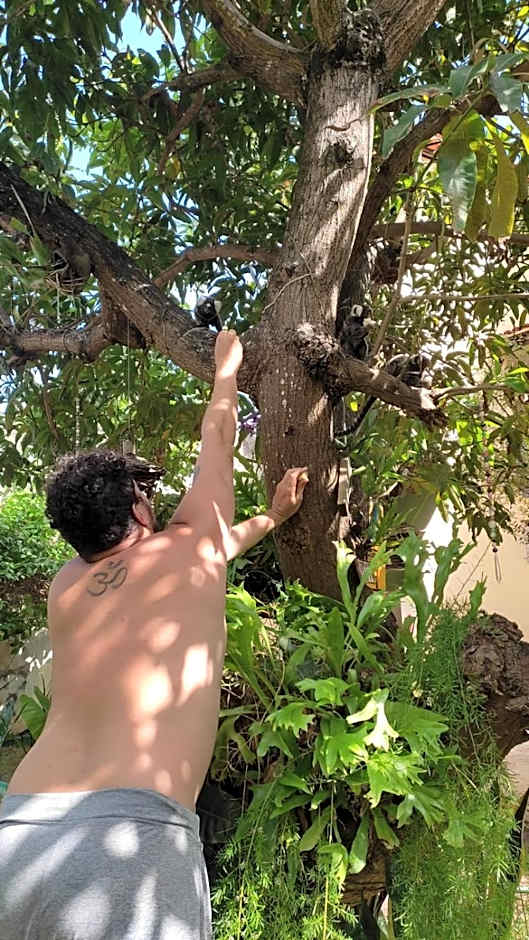 Refúgio da Mangueira