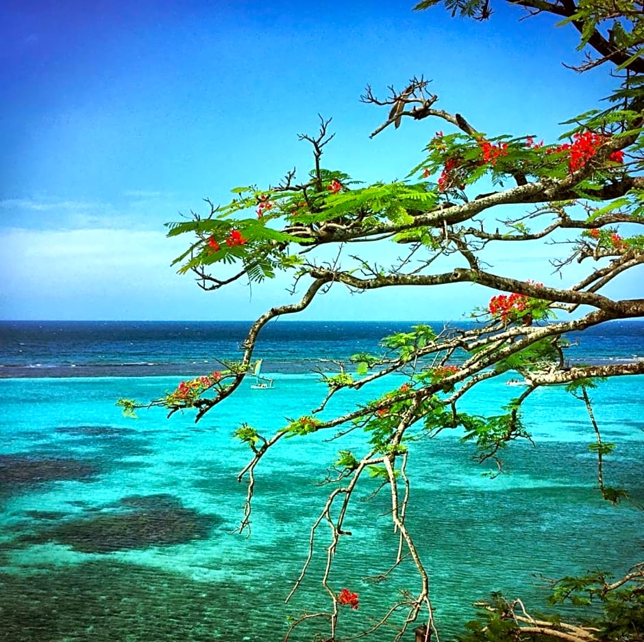 Hibiscus Lodge Hotel