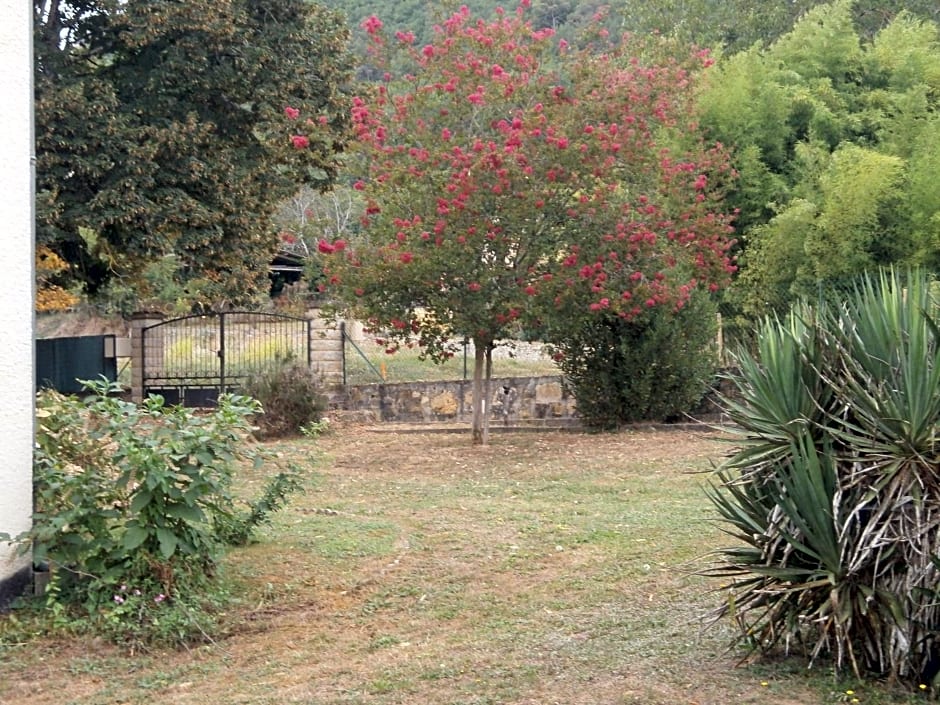 Les noyers