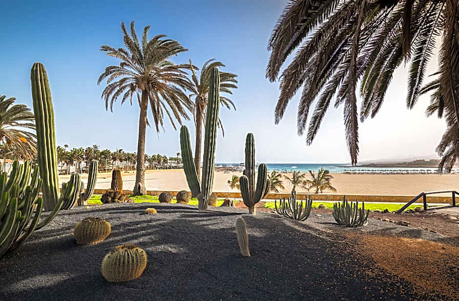 Barcelo Fuerteventura Royal Level adults only