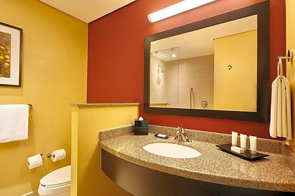 Courtyard by Marriott Leon at The Poliforum