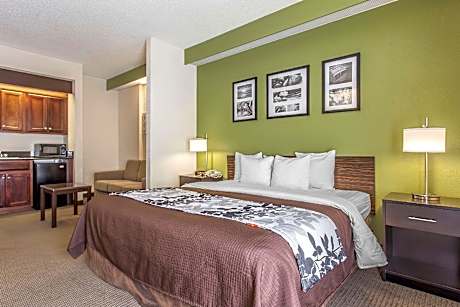 1 King Bed, Suite, Nonsmoking