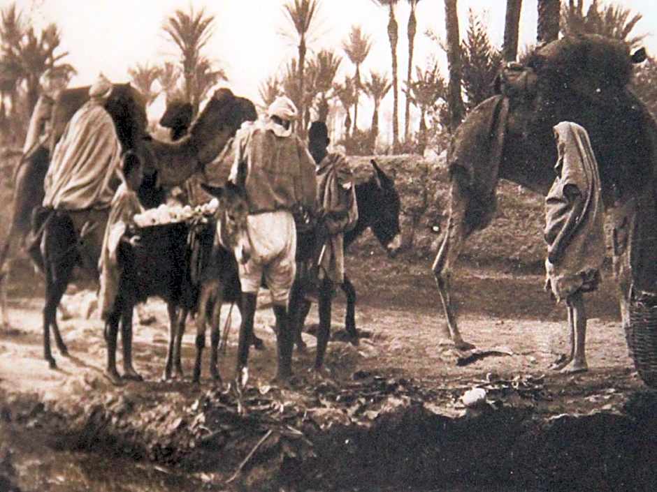 Riad Miski