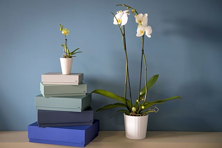 Aurum Aparthotels Bicocca