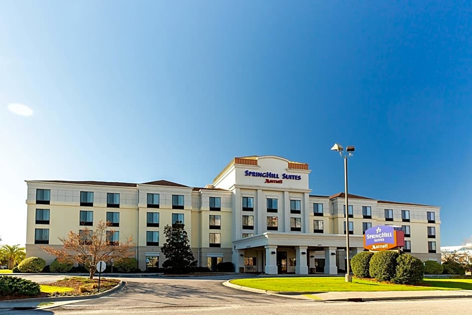 Photo 1 of 23 of SpringHill Suites by Marriott Florence