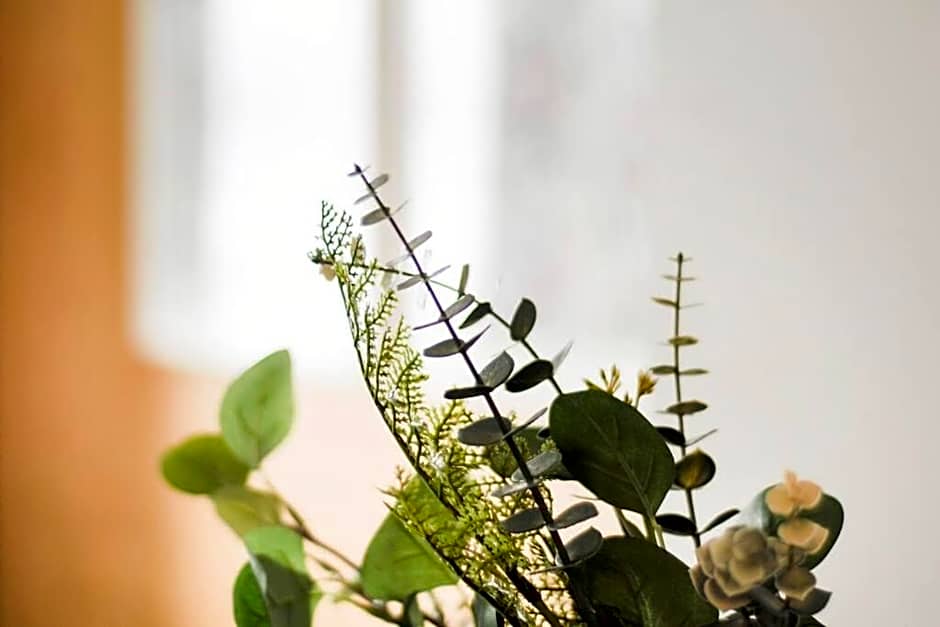 La Réserve du Boisé - Parking, terrasse & Gym