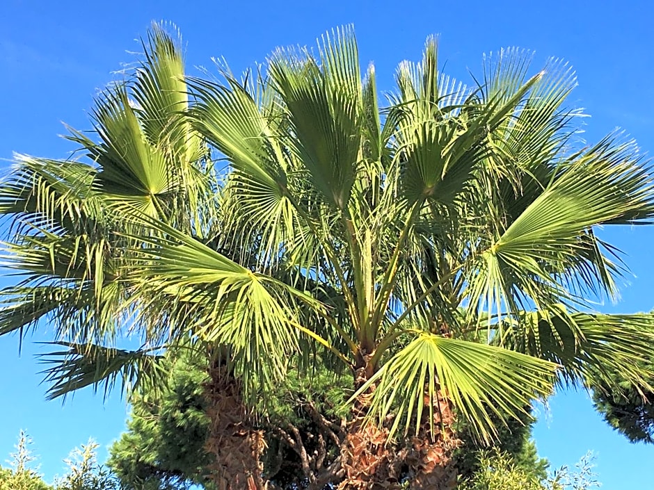 VILLA DE LA LUZ Luxury Guesthouse