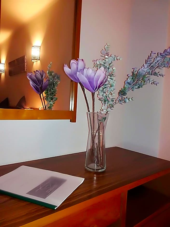 Apartamentos Turisticos Lindomar