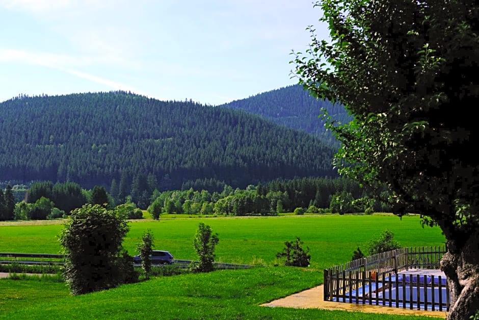 Sonnenmatte Titisee Hotel B und B