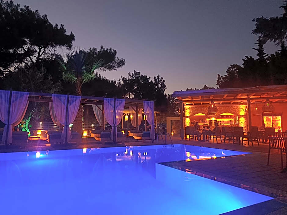 Trees Art Hotel & Suites