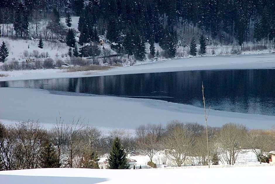 Etoile des Neiges