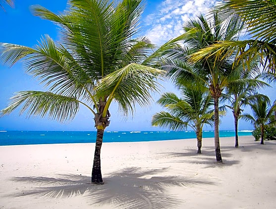 Viva Heavens by Wyndham, A Trademark All Inclusive