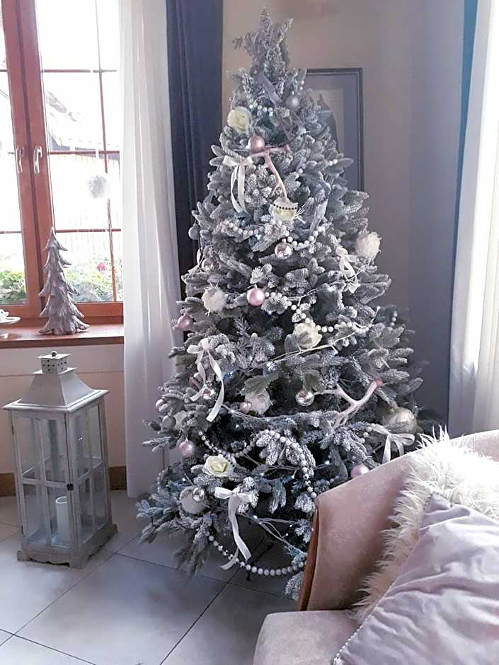 Hotel Dworek nad Regą