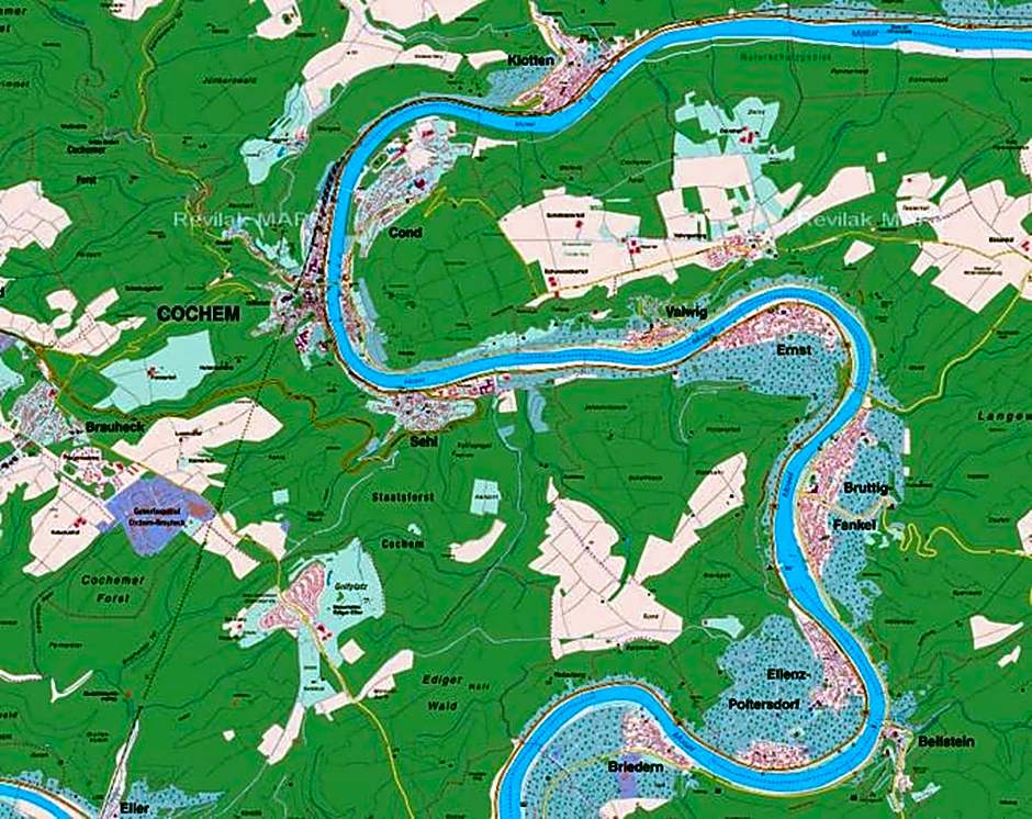 Moselstern Hotel Zum guten Onkel