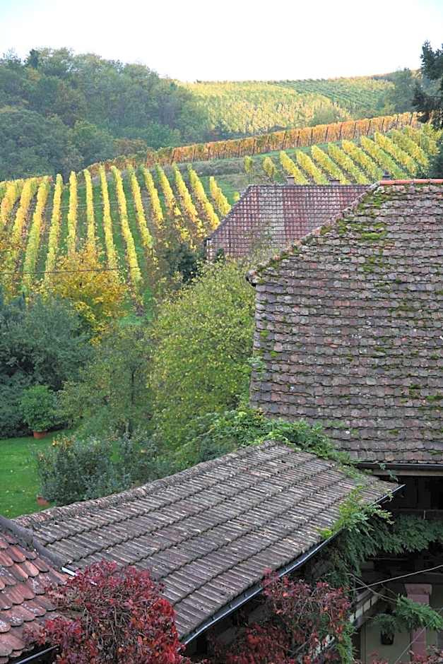 Pêche de Vigne & Spa